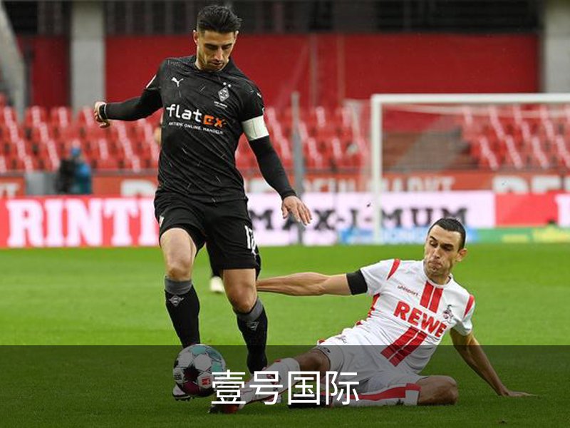 壹号国际概况